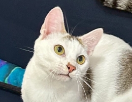 �j�F��ǡ����I��