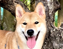 ѨϮ㡧NN