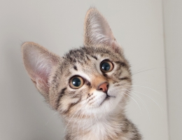 �w�R��§����