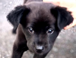 �����C�ȡ�D��