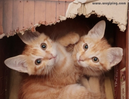 �N�N�N�N�N�N