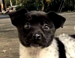 �ˤH���b��p����