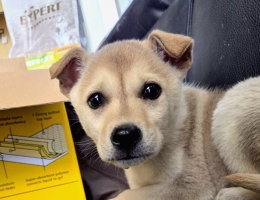 �R���b����j��