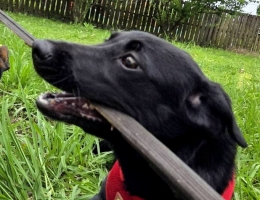 �ˤH���b����Q�R