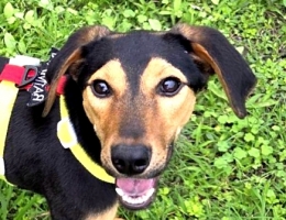 �˪��͵�����{�{