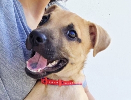 �ժ��ۧڦ������m