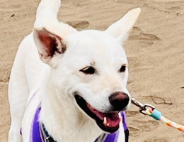 ���e�S���S�x��F�p��