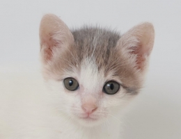 �M�q�H���p��