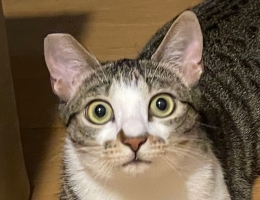 �n�_�_�_ 