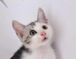 �R����